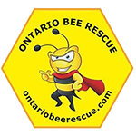 Ontario Bee Rescue